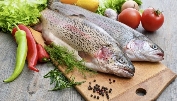 Свежая форель радужная 2.3-3.5 кг